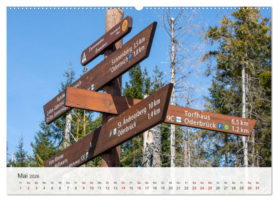 Sagenumwobener Harz (CALVENDO Wandkalender 2026)