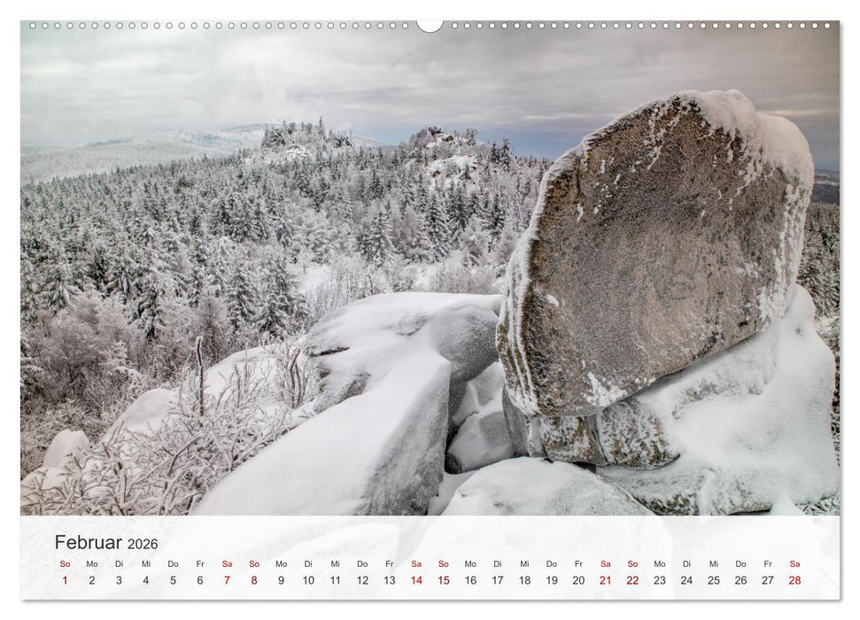 Sagenumwobener Harz (CALVENDO Premium Wandkalender 2026)