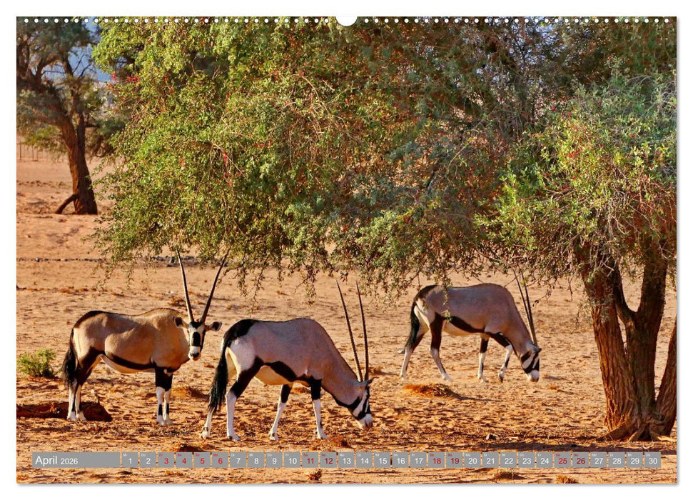 Namibia – Auf dem Weg ins Sossusvlei (CALVENDO Wandkalender 2026)