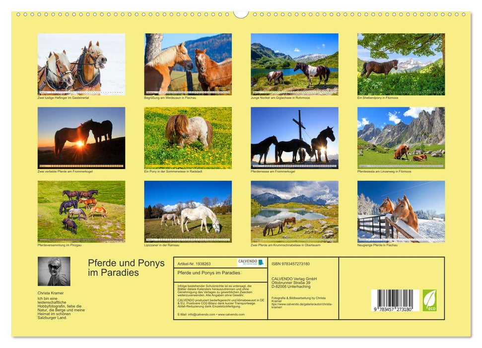 Pferde und Ponys im Paradies (CALVENDO Premium Wandkalender 2026)