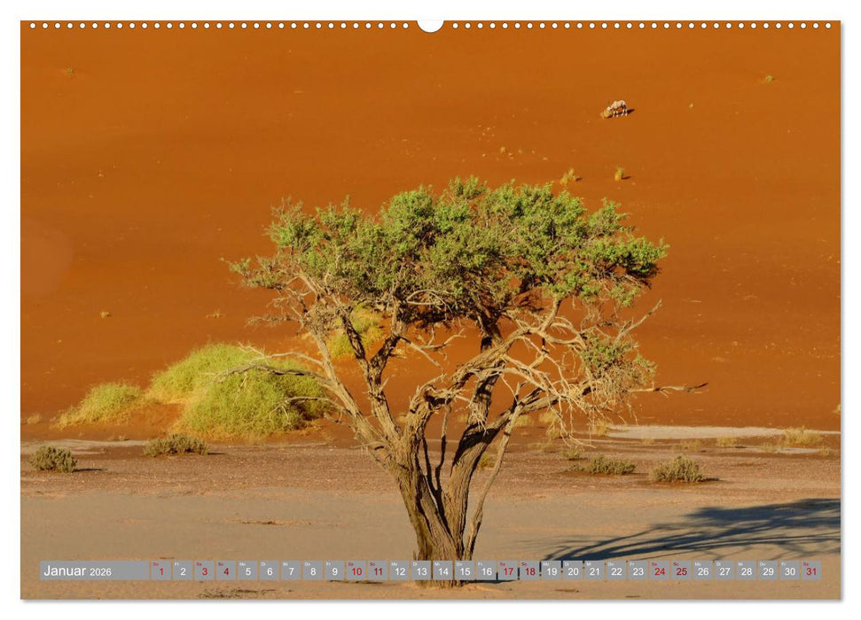 Namibia – Auf dem Weg ins Sossusvlei (CALVENDO Premium Wandkalender 2026)