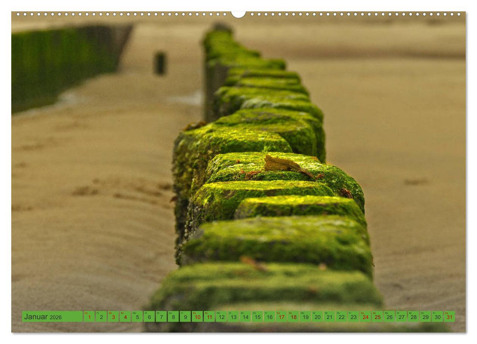 Holland - Die Nordsee von Zandvoort bis Breskens (CALVENDO Premium Wandkalender 2026)