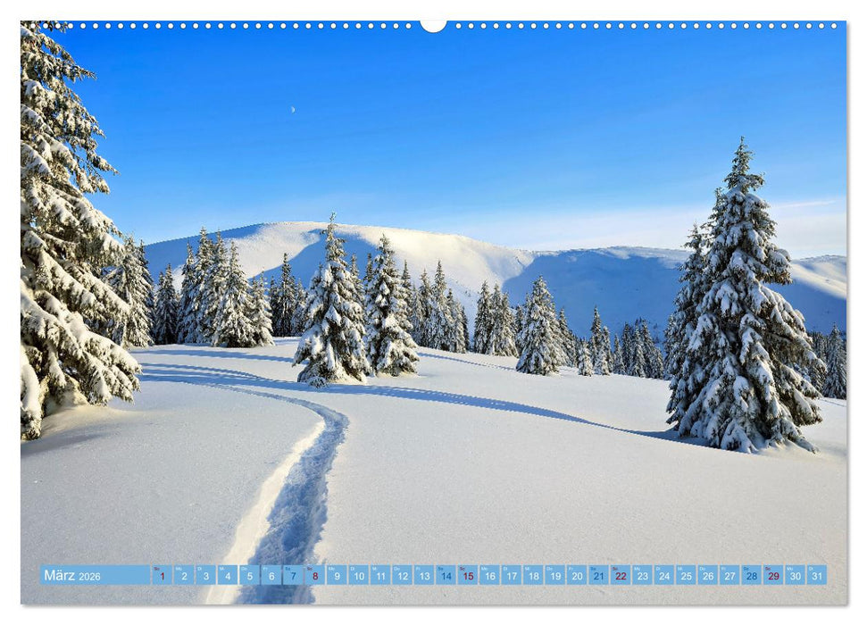 Skimountaineering - Erobere die Berge im Winter (CALVENDO Premium Wandkalender 2026)