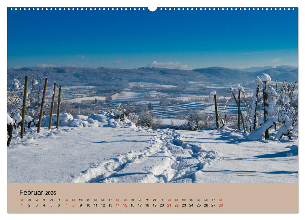 Kaiserstuhlblicke (CALVENDO Premium Wandkalender 2026)