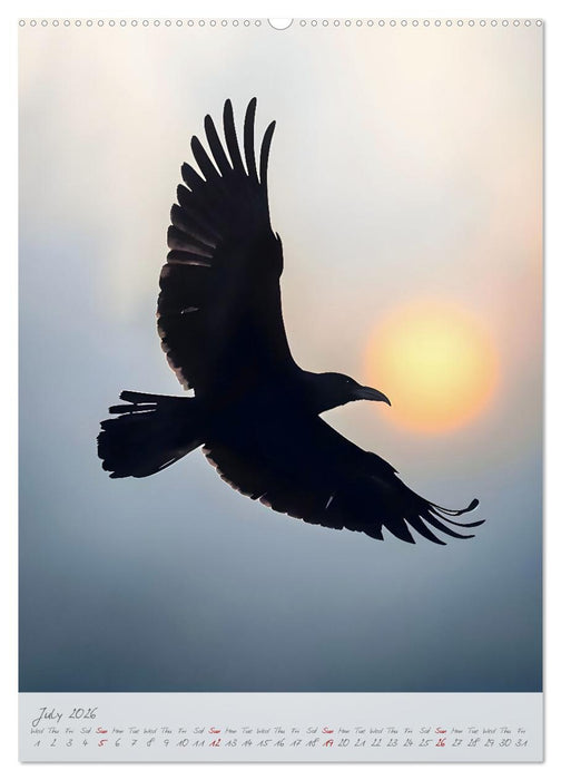 Nocturnal wings - A mystic raven companion for the year (CALVENDO Premium-Calendar 2026)
