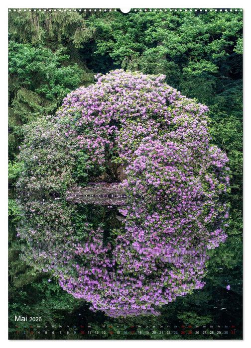 Wassenberg - Eine Perle im Westen (CALVENDO Premium Wandkalender 2026)