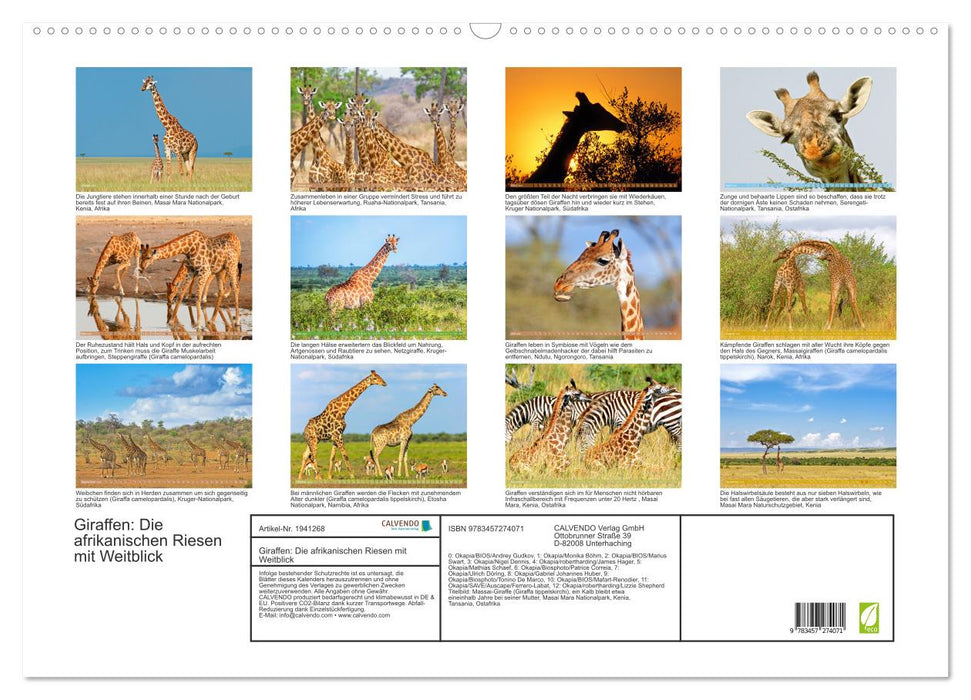 Giraffen: Die afrikanischen Riesen mit Weitblick (CALVENDO Wandkalender 2026)