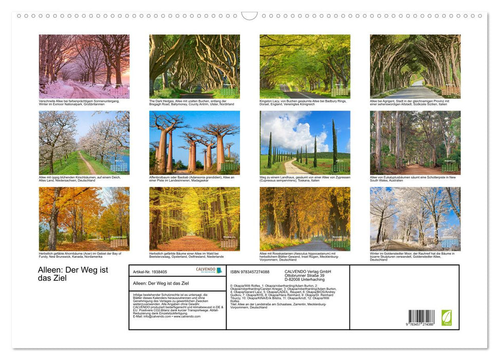 Alleen: Der Weg ist das Ziel (CALVENDO Wandkalender 2026)