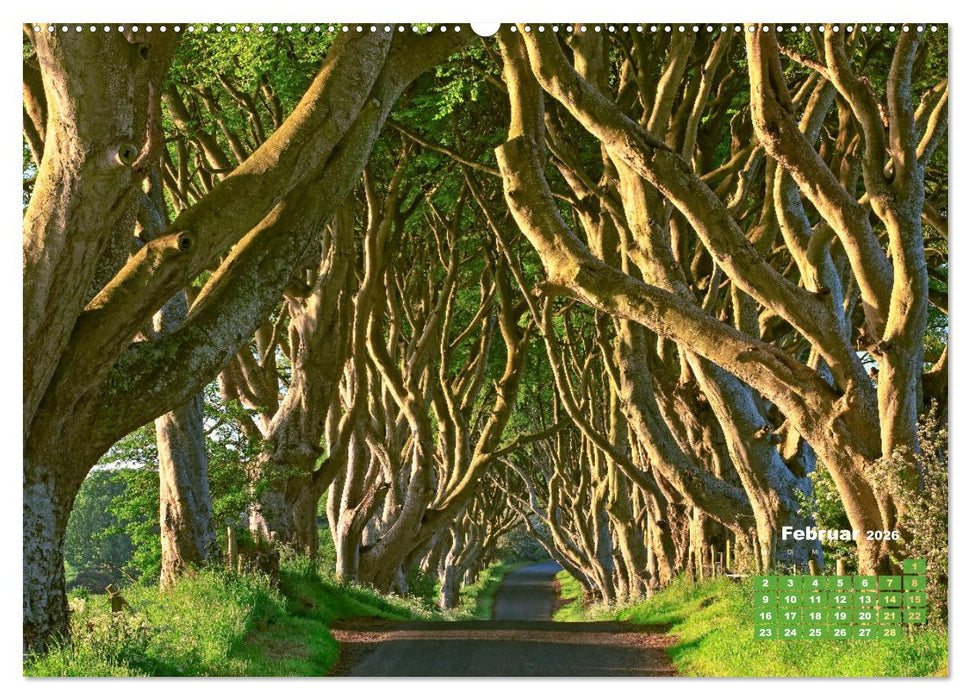 Alleen: Der Weg ist das Ziel (CALVENDO Wandkalender 2026)