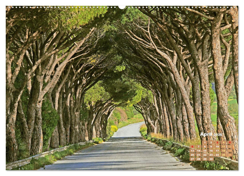 Alleen: Der Weg ist das Ziel (CALVENDO Wandkalender 2026)