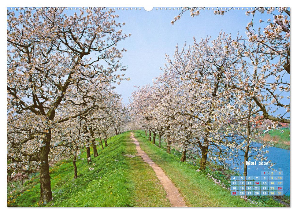 Alleen: Der Weg ist das Ziel (CALVENDO Wandkalender 2026)