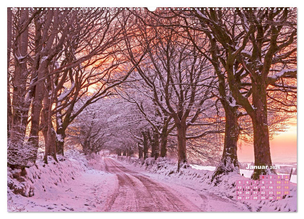 Alleen: Der Weg ist das Ziel (CALVENDO Premium Wandkalender 2026)