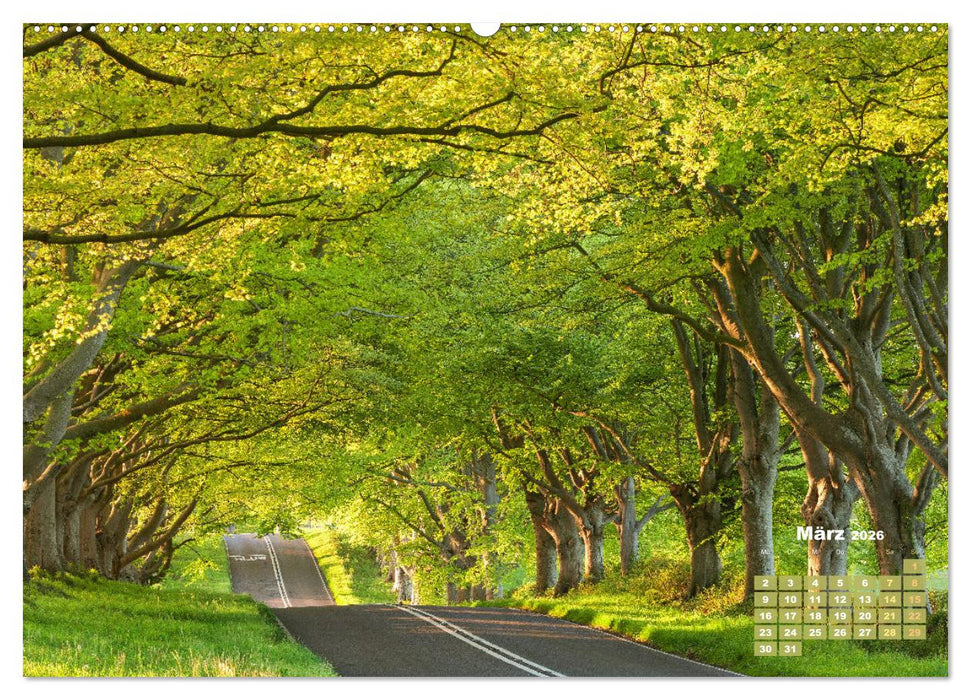 Alleen: Der Weg ist das Ziel (CALVENDO Premium Wandkalender 2026)