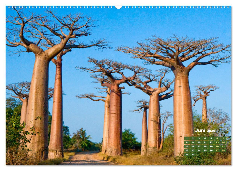 Alleen: Der Weg ist das Ziel (CALVENDO Premium Wandkalender 2026)