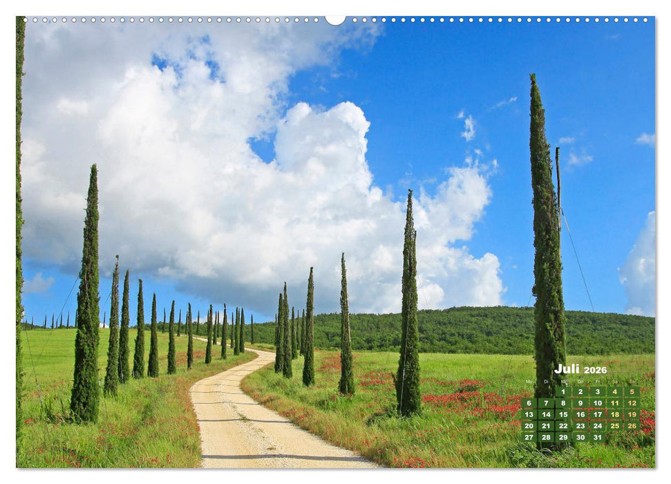 Alleen: Der Weg ist das Ziel (CALVENDO Premium Wandkalender 2026)