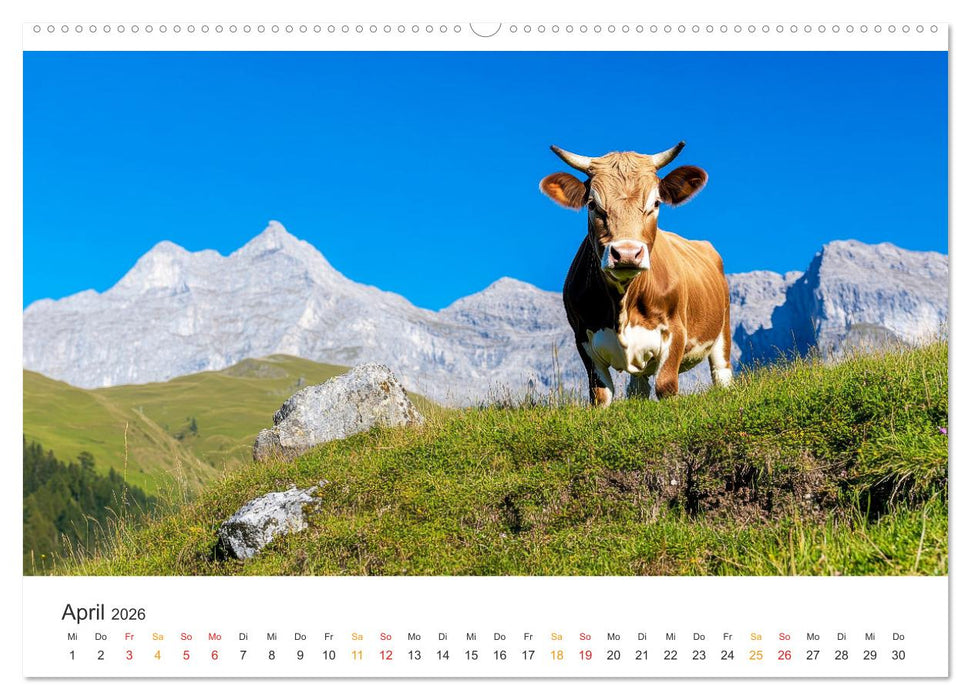 Glückliche Bergkühe - Leben auf der Alm (CALVENDO Premium Wandkalender 2026)