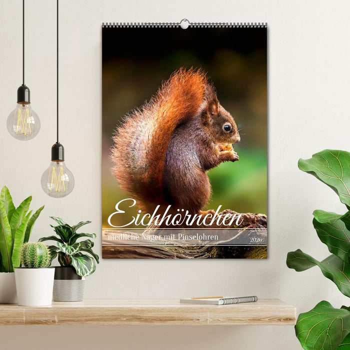 Niedlicher Nager - Das Eichhörnchen (CALVENDO Wandkalender 2026)