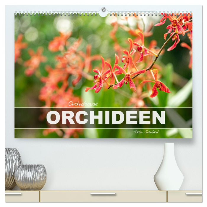 Orchidaceae - Orchideen (CALVENDO Premium Wandkalender 2026)