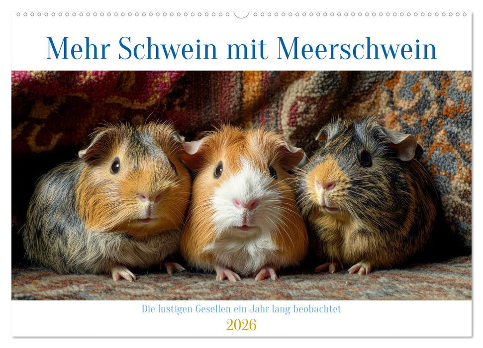 Mehr Schwein mit Meerschwein (CALVENDO Wandkalender 2026)