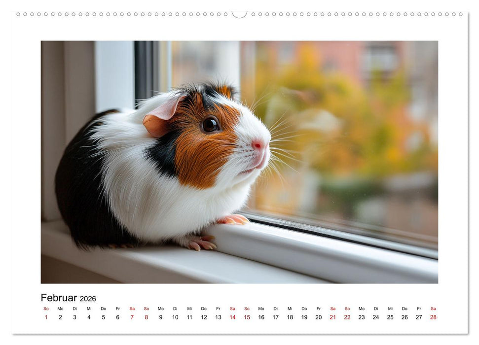 Mehr Schwein mit Meerschwein (CALVENDO Wandkalender 2026)