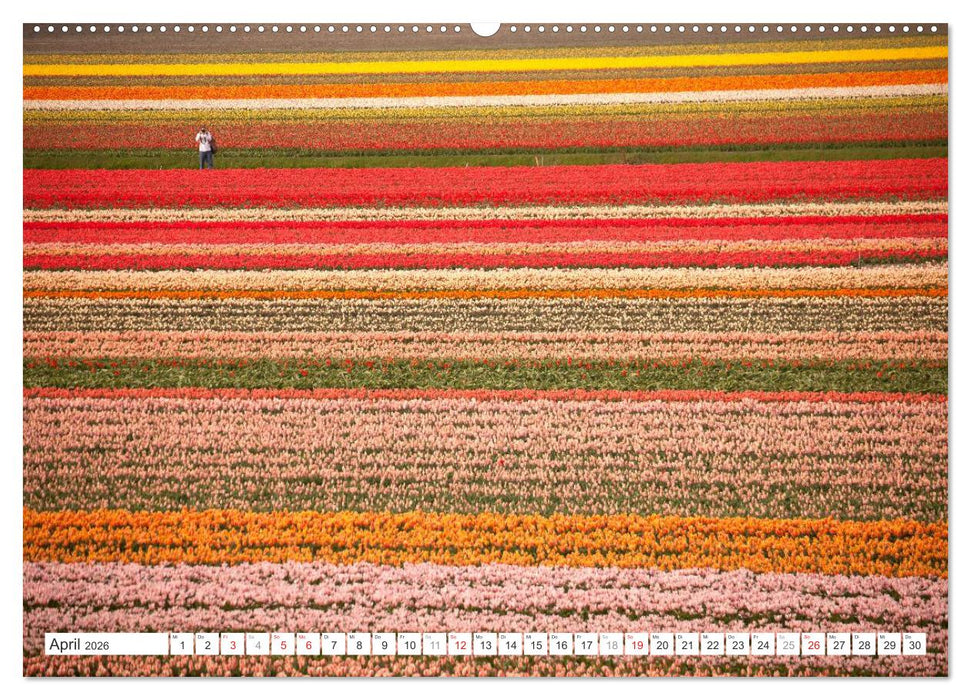 Die ganze Vielfalt der Niederlande (CALVENDO Premium Wandkalender 2026)