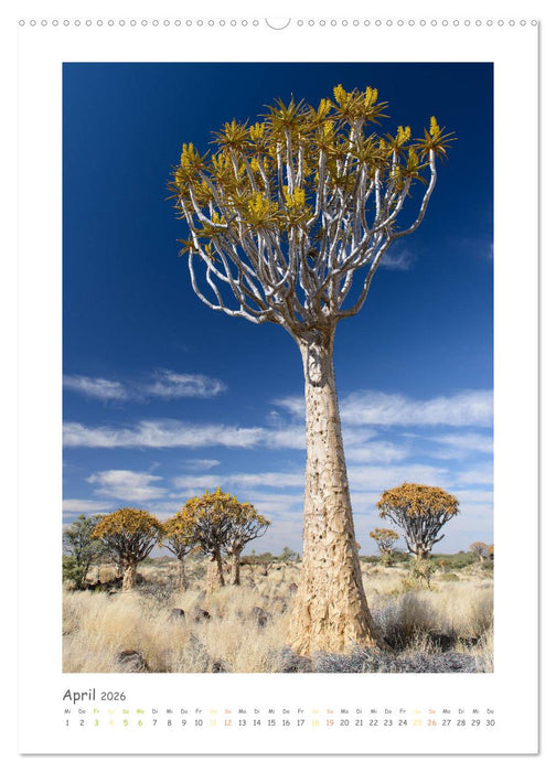 peaceful silence - einsame Landschaften (CALVENDO Premium Wandkalender 2026)