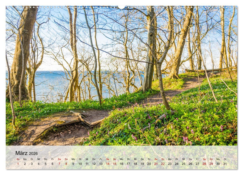 Schwedeneck Natur und Meer (CALVENDO Premium Wandkalender 2026)