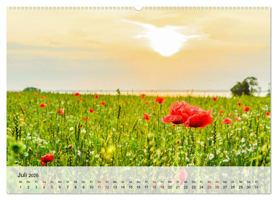 Schwedeneck Natur und Meer (CALVENDO Premium Wandkalender 2026)