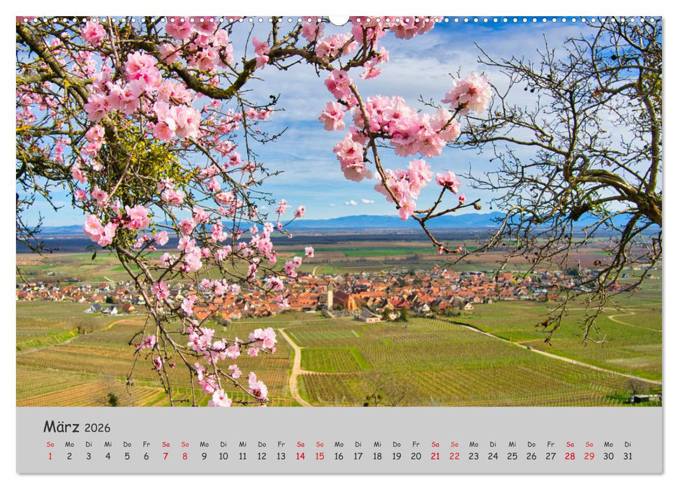 Region Elsass und Vogesen (CALVENDO Wandkalender 2026)