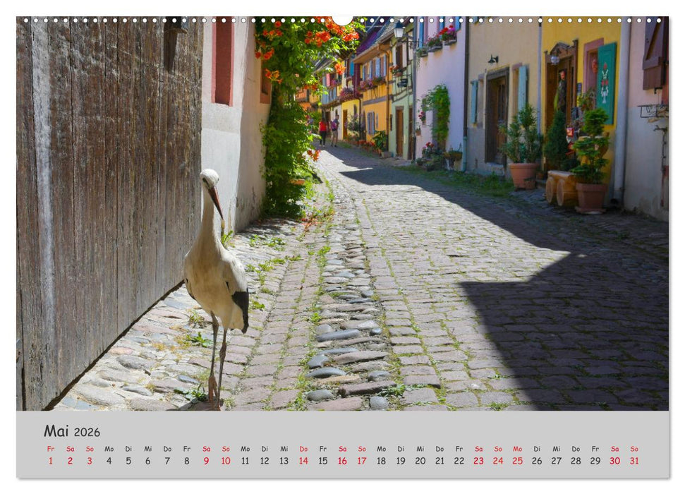Region Elsass und Vogesen (CALVENDO Wandkalender 2026)