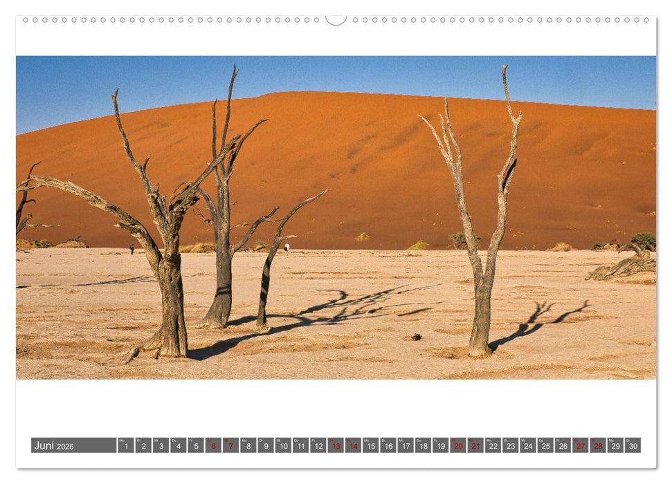 Namibia - Landschaft und Panorama (CALVENDO Premium Wandkalender 2026)