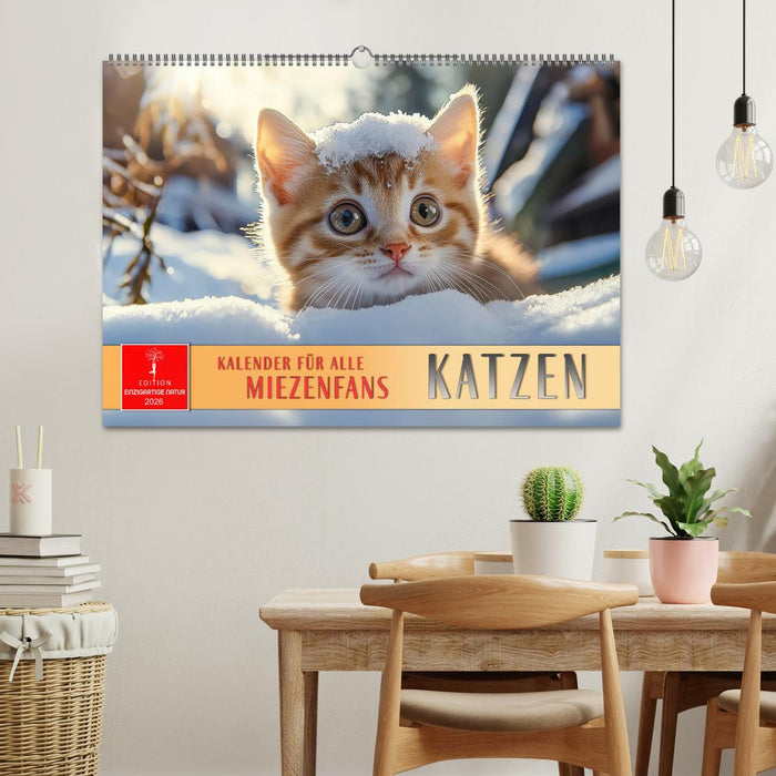 Katzen - Kalender für alle Miezenfans (CALVENDO Wandkalender 2026)