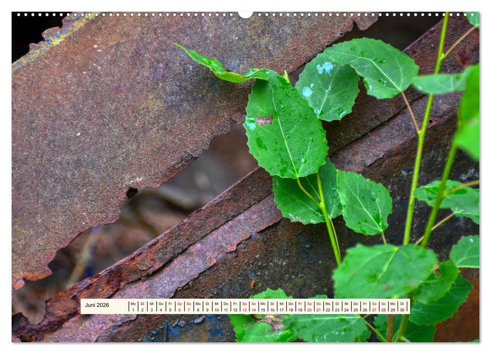 Autowracks - Verlorener Glanz 2026 (CALVENDO Wandkalender 2026)