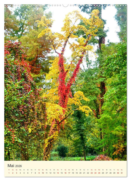 Traumschloss Paffendorf - Ein Juwel im Rheinland (CALVENDO Wandkalender 2026)