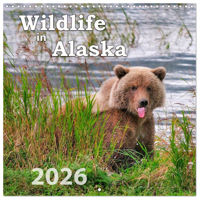 Wildlife in Alaska (CALVENDO Monthly Calendar 2026)