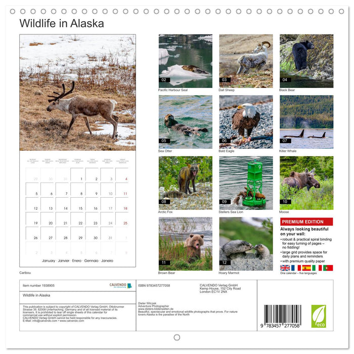 Wildlife in Alaska (CALVENDO Monthly Calendar 2026)