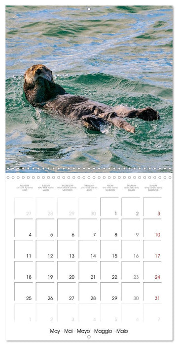 Wildlife in Alaska (CALVENDO Monthly Calendar 2026)