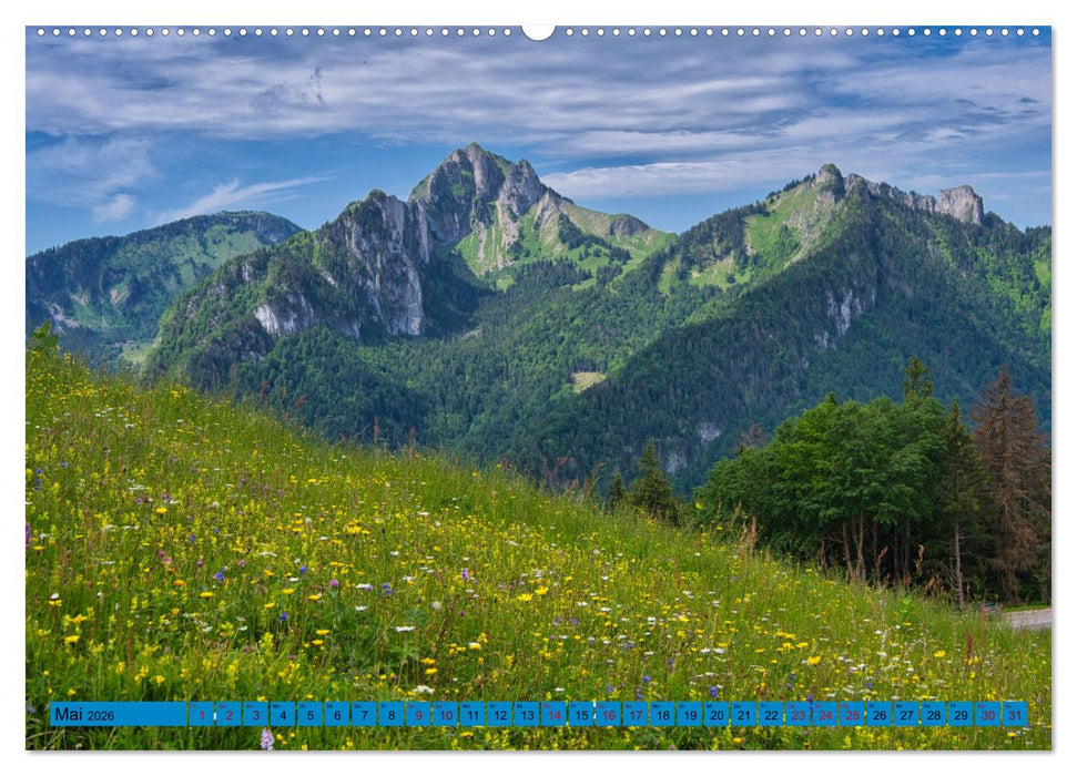 Frankreichs Alpenregionen (CALVENDO Premium Wandkalender 2026)