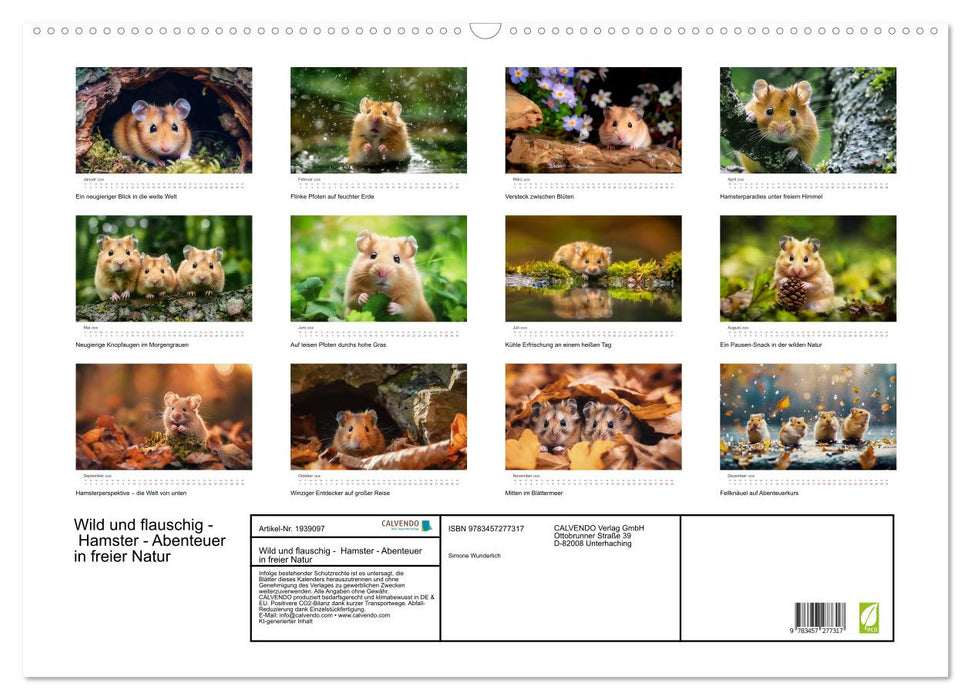 Wild und flauschig - Hamster - Abenteuer in freier Natur (CALVENDO Wandkalender 2026)