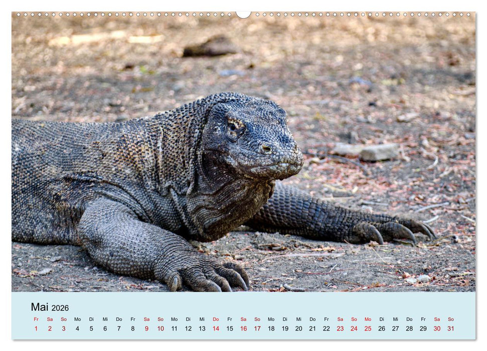 Indonesien - Die kleinen Sundainseln (CALVENDO Premium Wandkalender 2026)