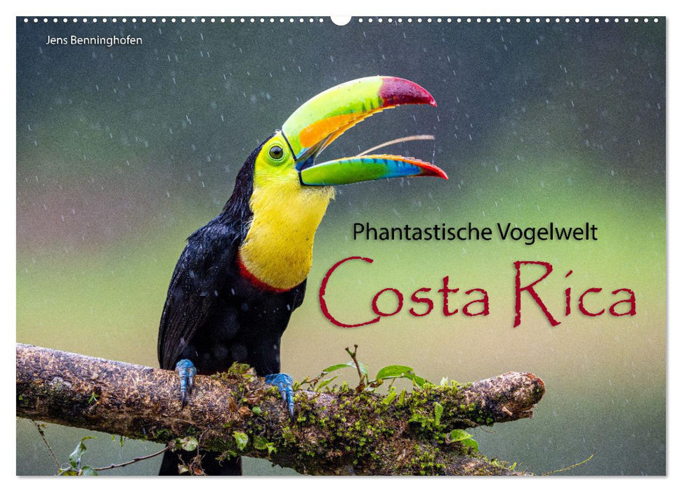 Phantastische Vogelwelt Costa Rica (CALVENDO Wandkalender 2026)