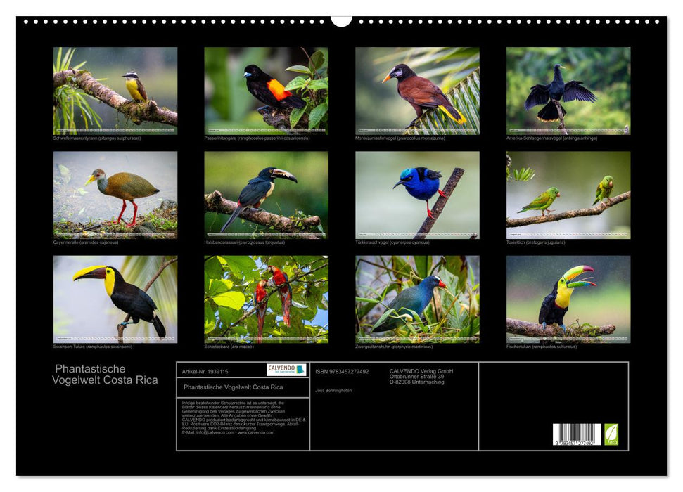 Phantastische Vogelwelt Costa Rica (CALVENDO Wandkalender 2026)