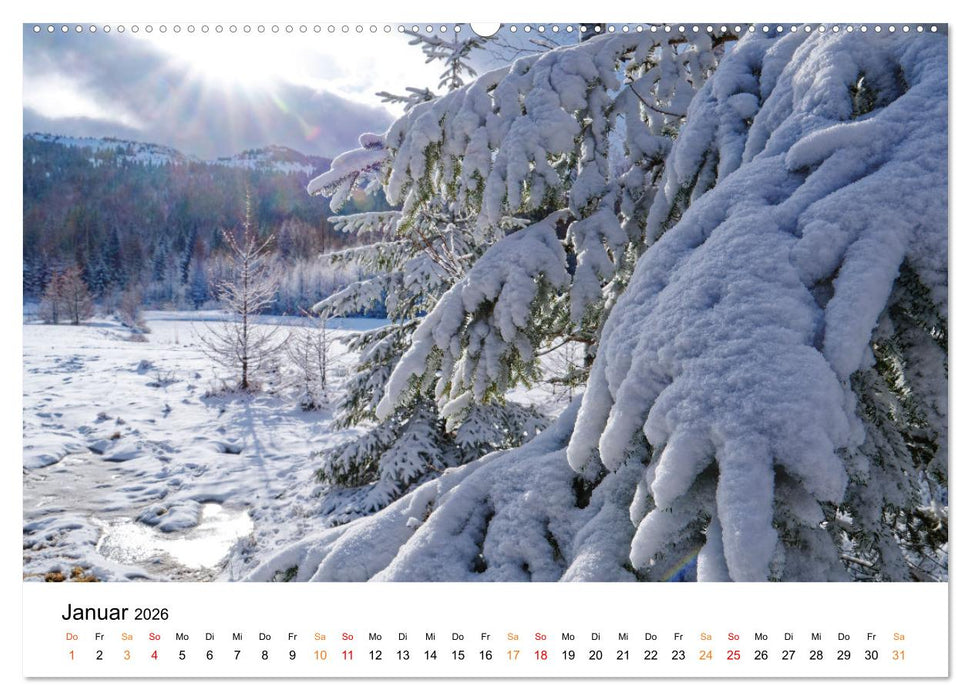 Naturparadies Polen (CALVENDO Premium Wandkalender 2026)