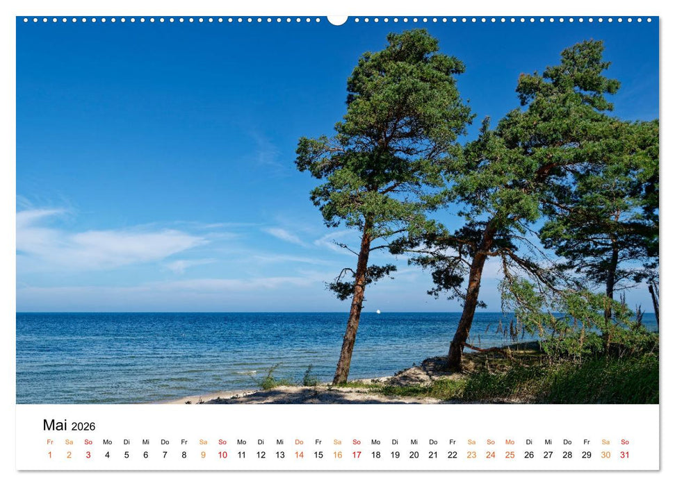 Naturparadies Polen (CALVENDO Premium Wandkalender 2026)