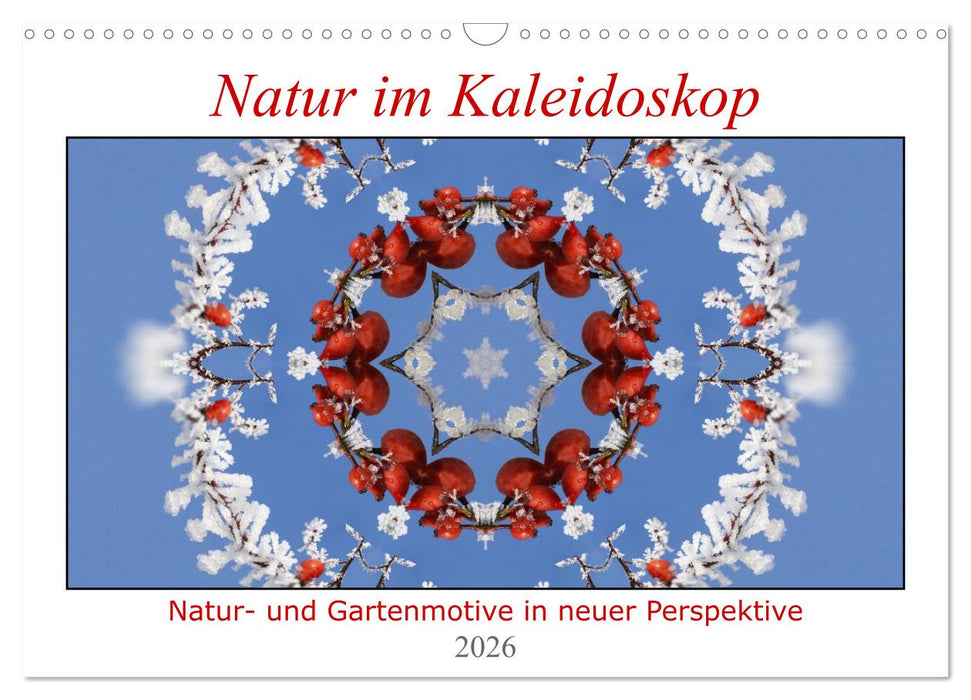 Natur im Kaleidoskop (CALVENDO Wandkalender 2026)