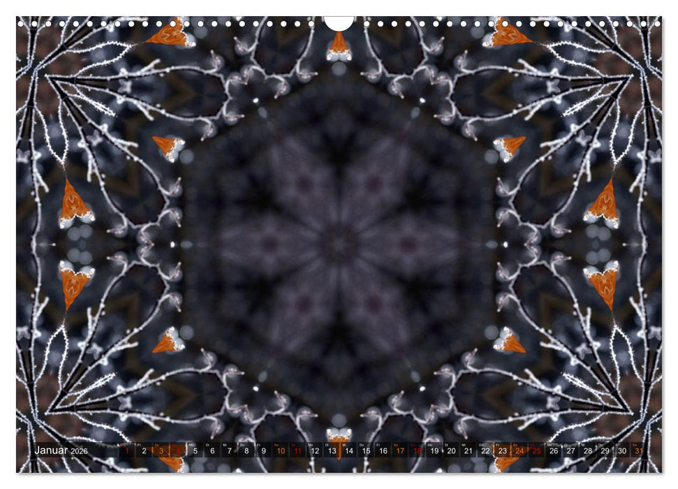Natur im Kaleidoskop (CALVENDO Wandkalender 2026)