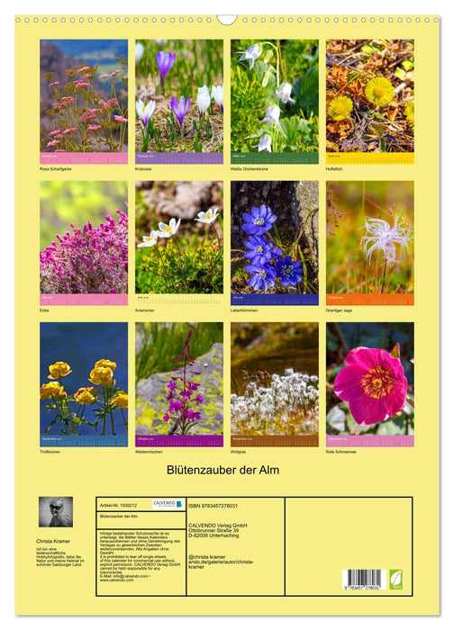 Blütenzauber der Alm (CALVENDO Wandkalender 2026)