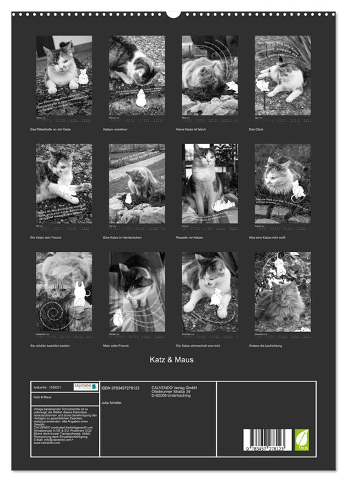 Katz & Maus (CALVENDO Premium Wandkalender 2026)