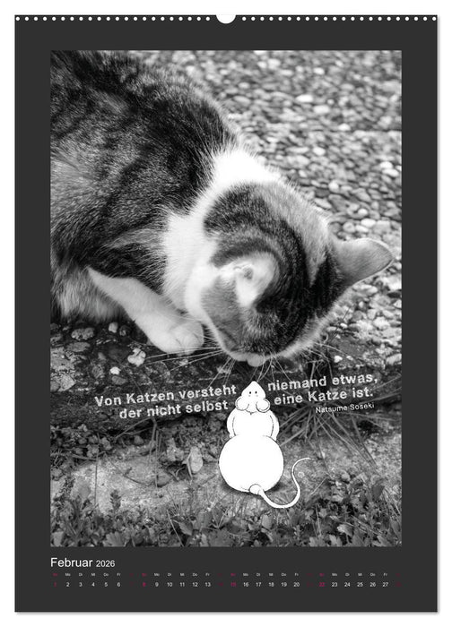 Katz & Maus (CALVENDO Premium Wandkalender 2026)