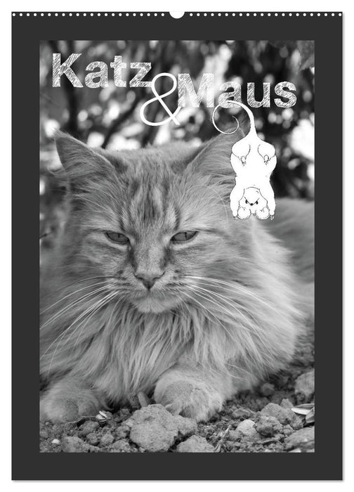 Katz & Maus (CALVENDO Wandkalender 2026)